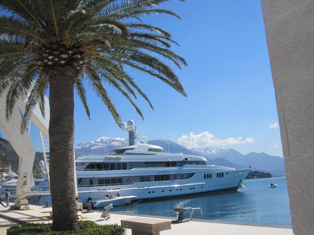 Апартаменты Apartments Delfin Тиват