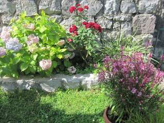 Апартаменты Apartments Delfin Тиват Апартаменты с 1 спальней-10