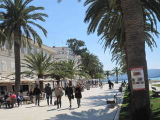 Апартаменты Apartments Delfin Тиват Апартаменты с 1 спальней-100