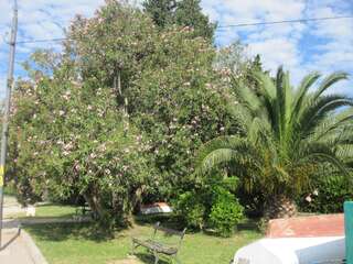 Апартаменты Apartments Delfin Тиват Апартаменты с 1 спальней-31