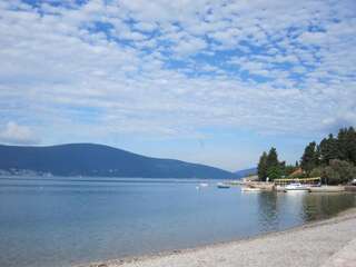 Апартаменты Apartments Delfin Тиват Апартаменты с 1 спальней-78