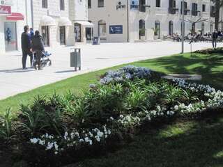 Апартаменты Apartments Delfin Тиват Апартаменты с 1 спальней-8