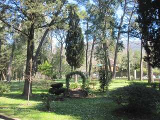 Апартаменты Apartments Delfin Тиват Апартаменты с 1 спальней-9