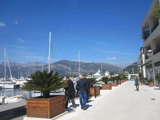 Апартаменты Apartments Delfin Тиват-96